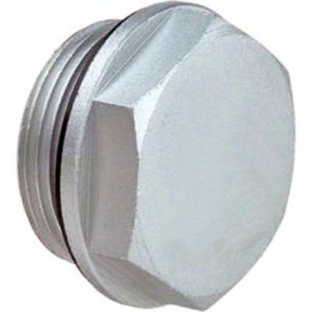 J.W. WINCO J.W. Winco Aluminum Threaded Plug with 2mm Vent Hole with G 3/4" Pipe Thread 741-32-G3/4-OS-2